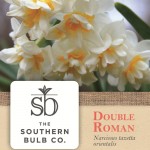 Southern Bulb Company Plant Tag*http://www.duoparadigms.com/wp-content/uploads/2012/10/southern_bulb_tag1.jpg