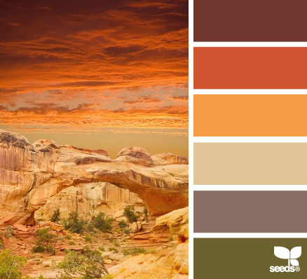 canyon color