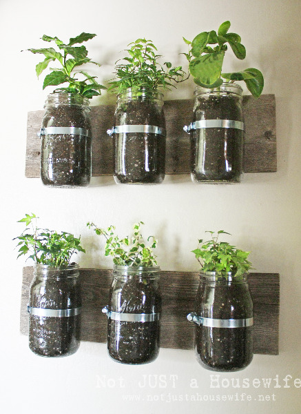 Mason Jar Wall Planter Herb Garden